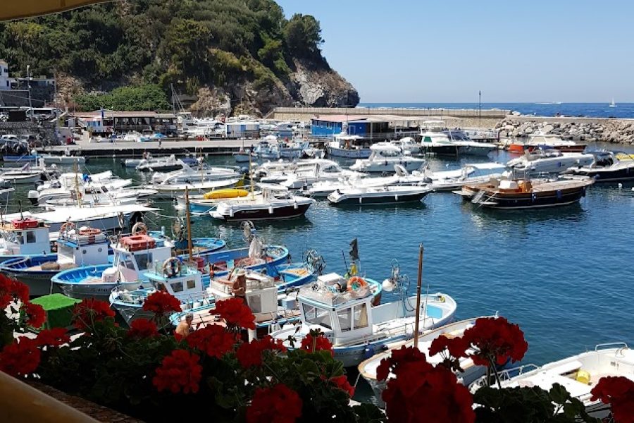 angelos bar